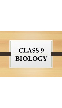 Class-9 Biology Complete Copies Set - St.Josephs Convent School